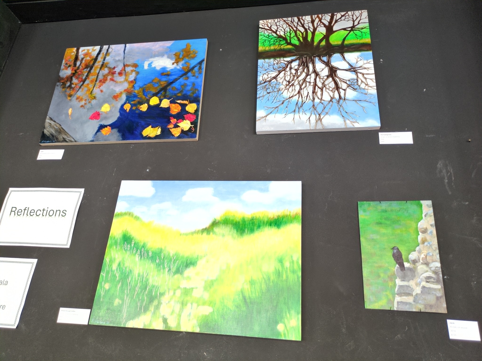 Paintings from the Reflections exhibition