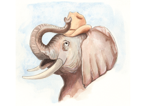 Elephant Ted, 2020