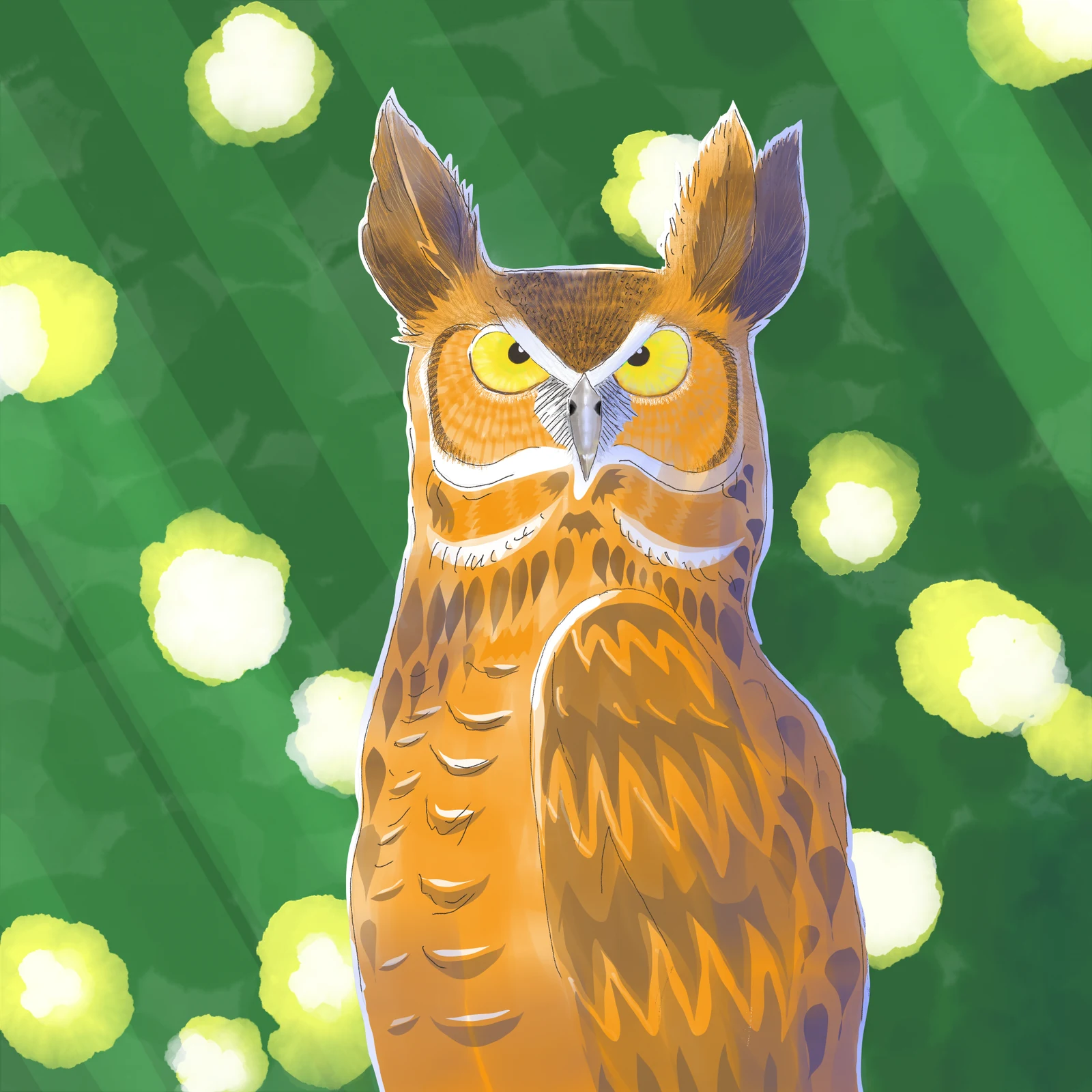 Owl, 2024