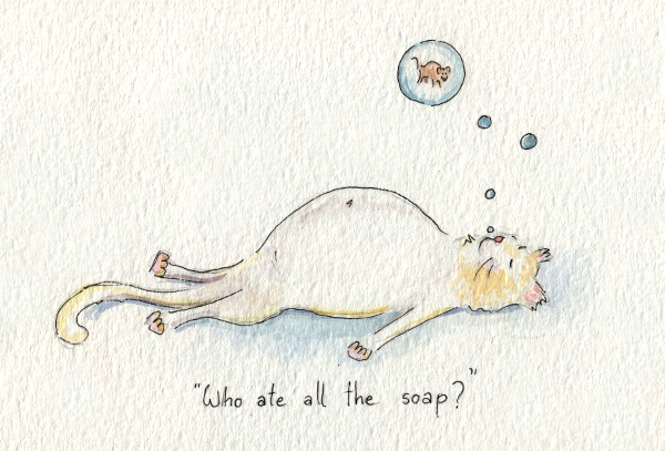 Who Ate all the Soap?, 2014