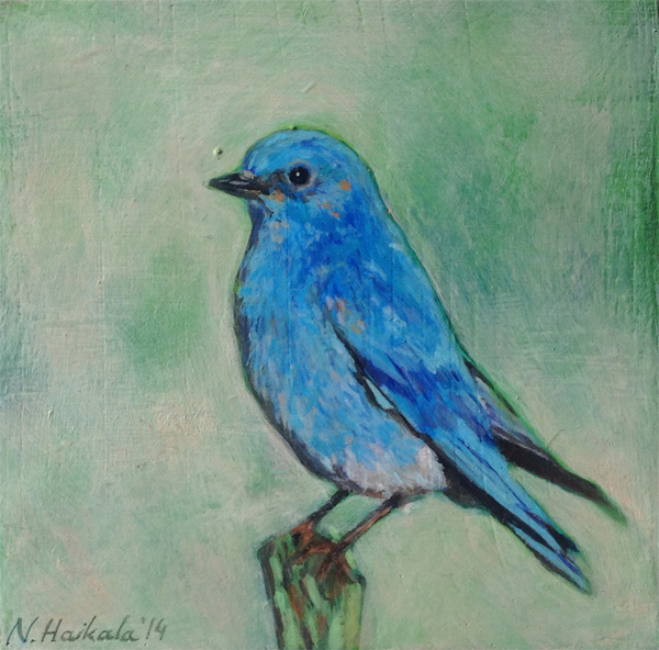 Bluebird, 2014